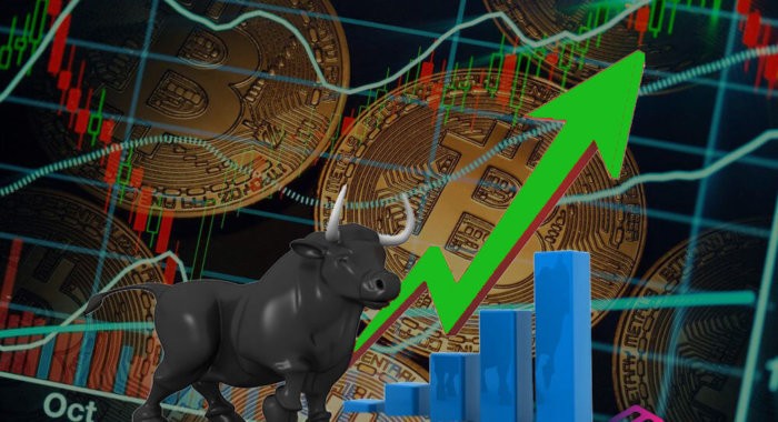 CoinMetrics: бычий забег начат «преданным сторонником»
