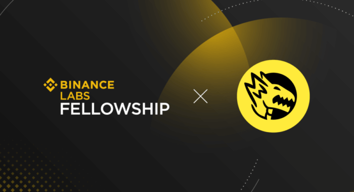 Мобильный кошелек Grin получил грант First Binance Labs