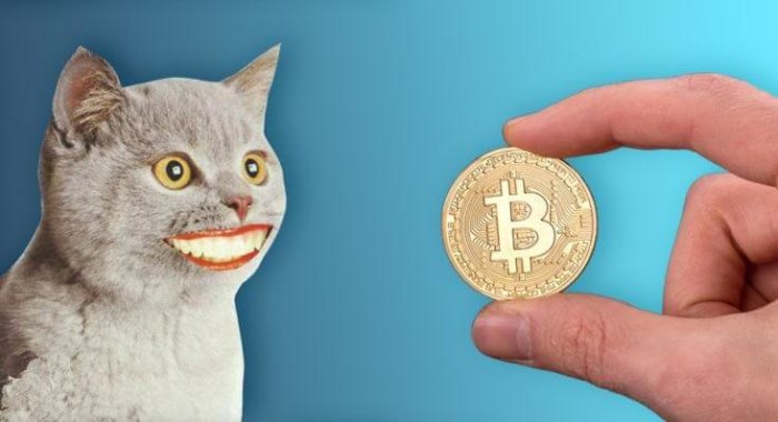 Биткоин остается выше $ 8 000
