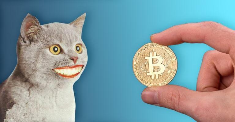 coinmag