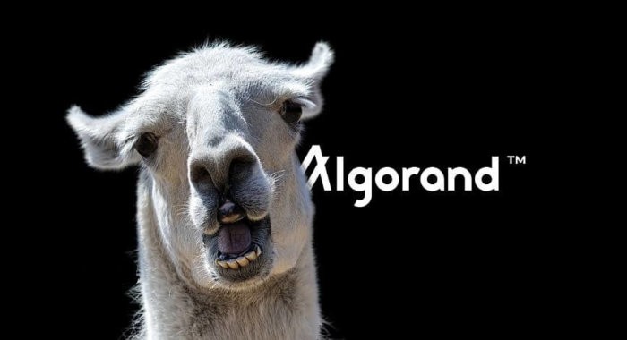 Новый проект Algorand штурмует криптомир и биржи