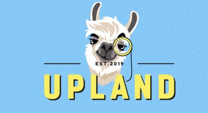 Что ждёт онлайн-игру UpLand в будущем?