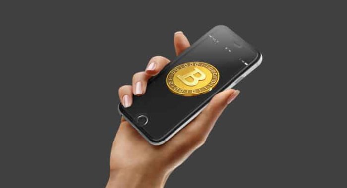 Новая версия кошелька Electrum будет поддерживать LN