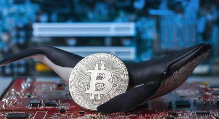 За 1 минуту биткоин-киты вывели с биржи Binance более 5000 BTC