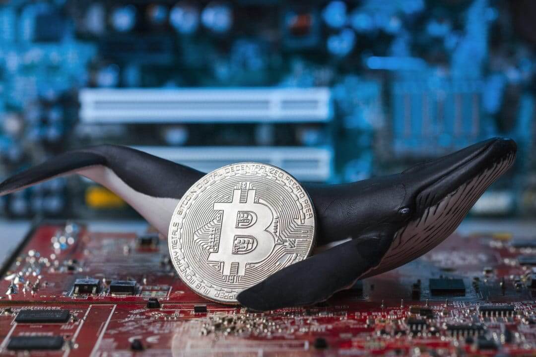 coinmag