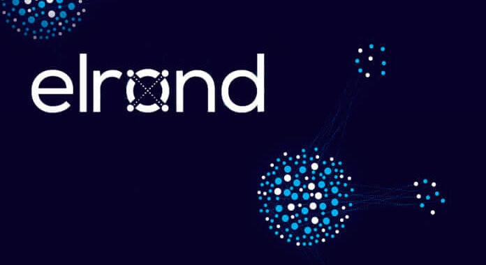 После торгов на Binance Elrond вырос в 12 раз