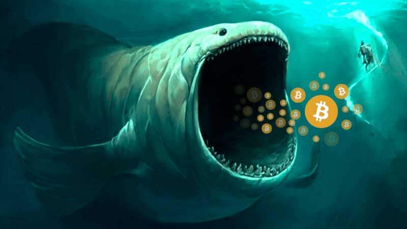 coinmag