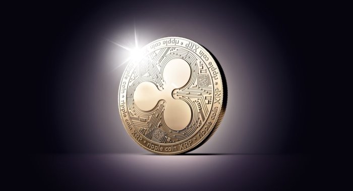 Криптоплатформа Bitpay добавила поддержку XRP