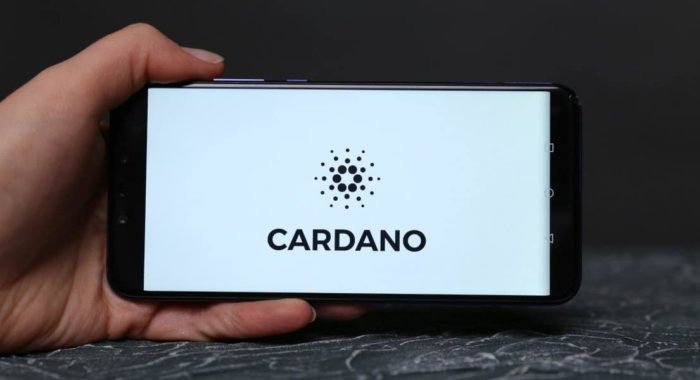 На прошлой неделе Cardano стала кумиром соцсетей
