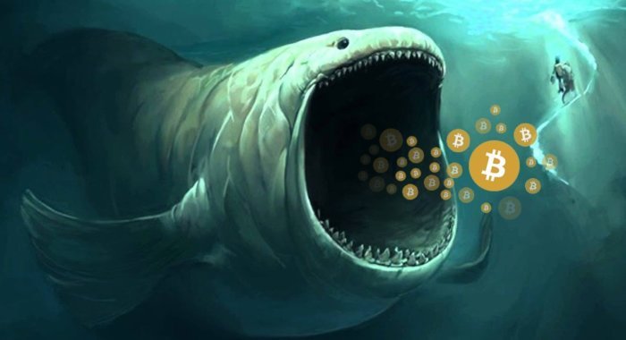 На 461 криптоадресах хранится 40% ETH, ADA, LTC и USDT
