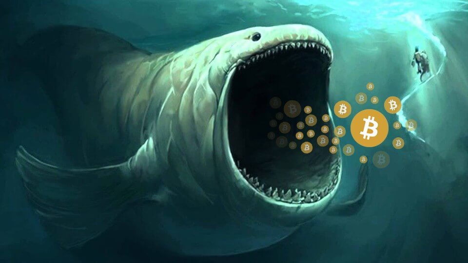 coinmag