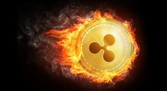ODL Ripple в Австралии установила новый рекорд