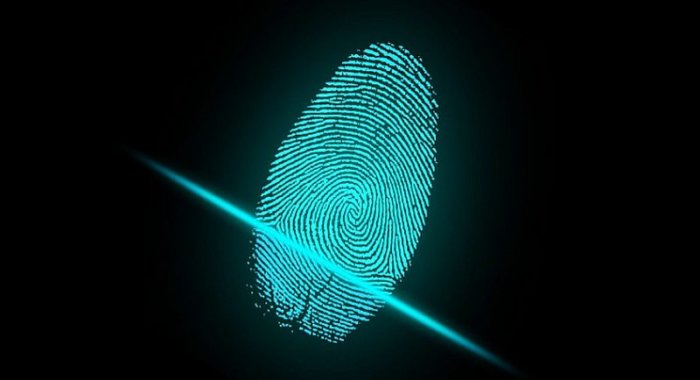 Франция и Австрия создают блокчейн-платформу для криминалистики