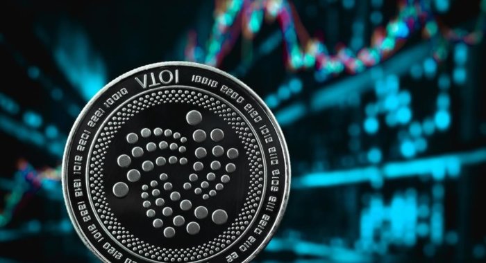 Среди учредителей IOTA возник новый конфликт