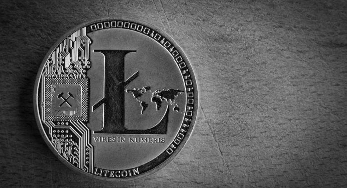 Криптовалюте Litecoin предрекают рост рыночной капитализации в 10 раз