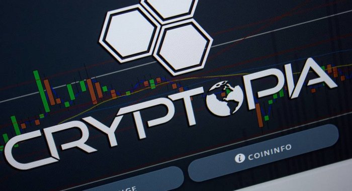 Ликвидаторы Cryptopia не могут определить балансы кошельков
