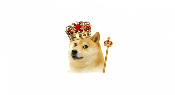 NFT-токен в тематике DOGE — самый ценный ERC-1155