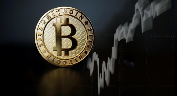 К 2030 году цена биткоина достигнет $ 397000