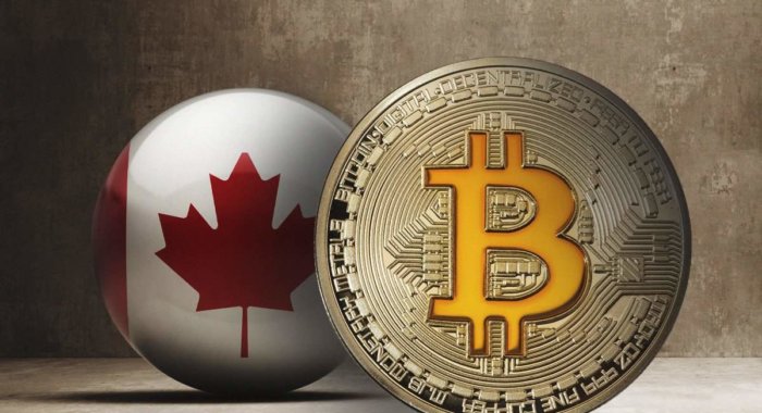 Опрос: Почти 30% канадцев инвестировали в криптовалюту
