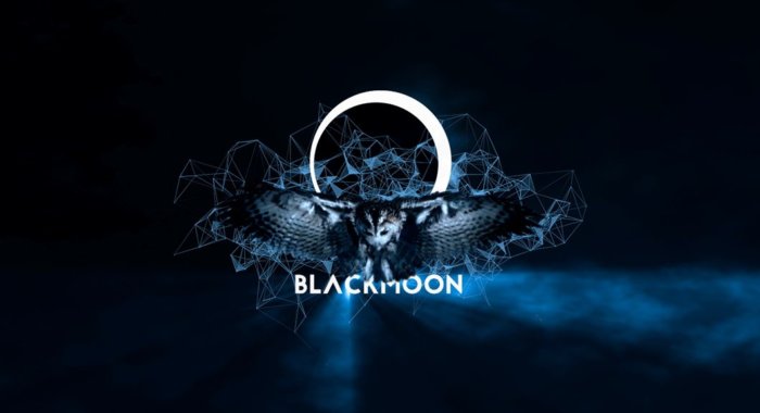 Биржа криптовалют Blackmoon Crypto закрывается