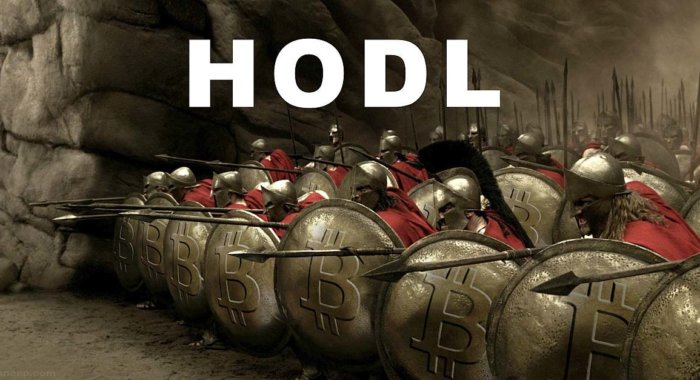 Glassnode: Ежедневно ходлеры покупают BTC на $500 млн