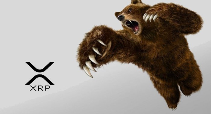 Аналитики предрекали XRP падение, но цена растёт