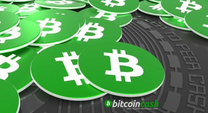 После падения Bitcoin Cash завис между сопротивлением и поддержкой