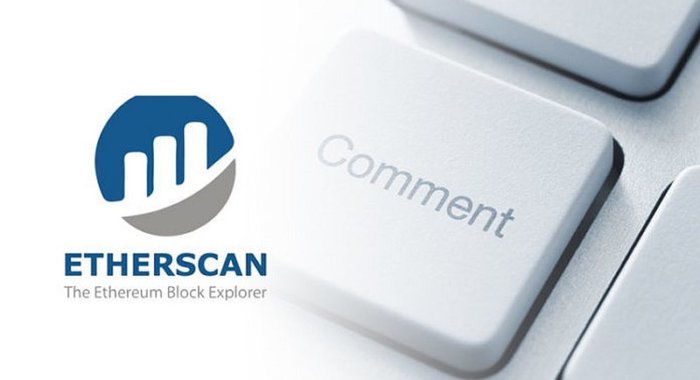 Etherscan запустил децентрализованный поисковик