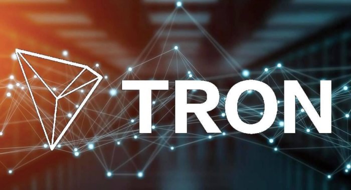 TRON создаёт конфиденциальный протокол Tronz