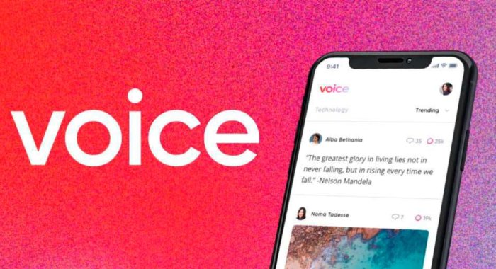 Соцсеть Voice на блокчейне EOS доступна сообществу