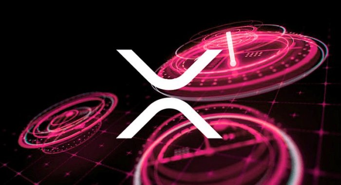 Регулятор Японии: XRP — это не ценная бумага