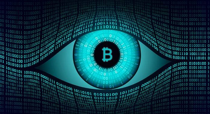 Блокчейн-монитор Elliptic добавил трекинг Zcash и Horizen
