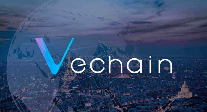 Поисковые запросы по VeChain увеличились на 500%