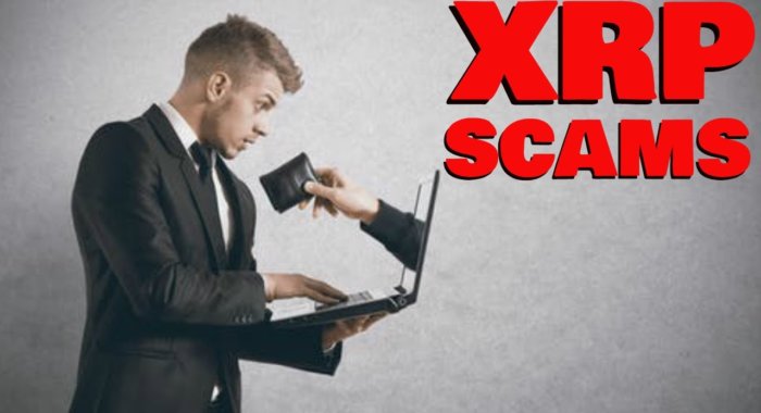 Новый скам с XRP создан под видом петиции