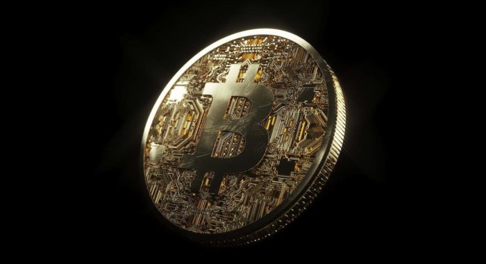 Ветеран Уолл-стрит: Многие выберут биткоин