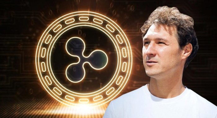 С балансом кошелька в 114 млн XRP Джеду Маккалебу остался месяц продаж