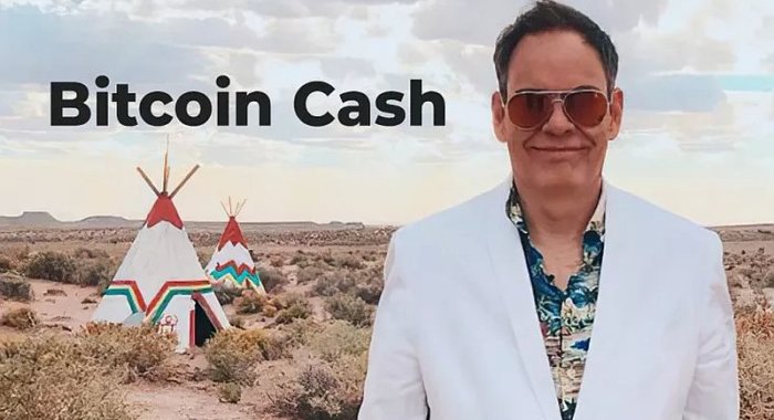 М.Кайзер: Bitcoin Cash готовится к своей эвтаназии