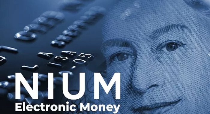 Партнёр Ripple получил лицензию на электронные платежи