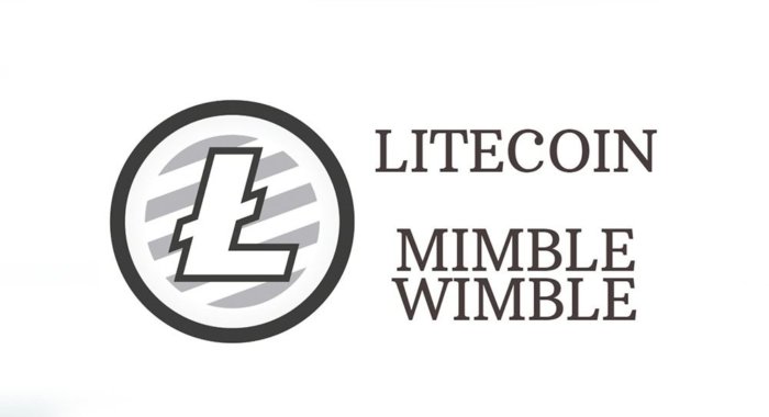 Разработка кода MimbleWimble для Litecoin завершена