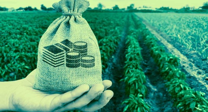 CoinGecko: 93% «фермеров» получили прибыль более 500%
