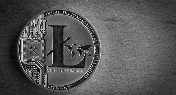 Использование SegWit в сети Litecoin достигло максимума в 90%