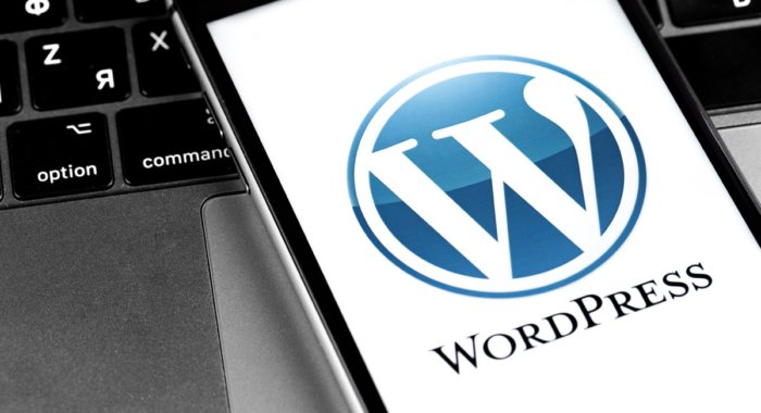 Ethereum-плагин WordPress — конкурент Google AdSense