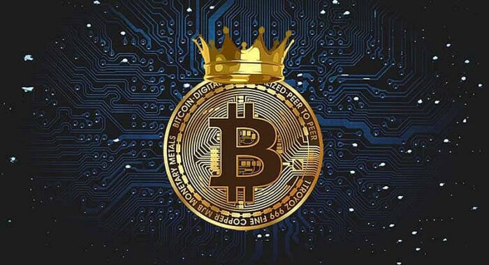 Доминирование биткоина выросло до максимума медвежьего рынка в 51%
