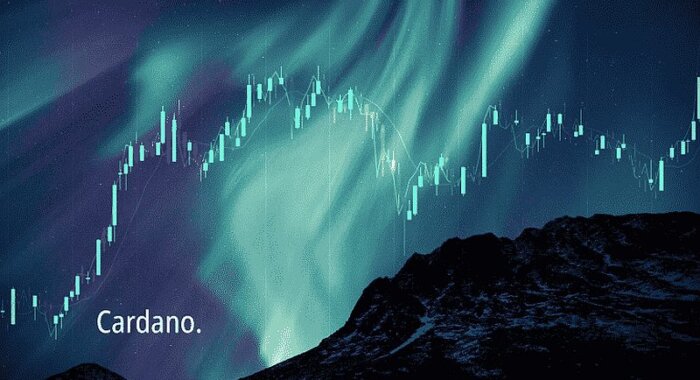 Cardano начинает сотрудничать с DeFi-проектами