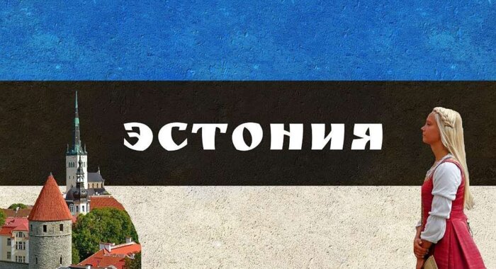 В 2020 году Эстония отозвала 1000 криптолицензий