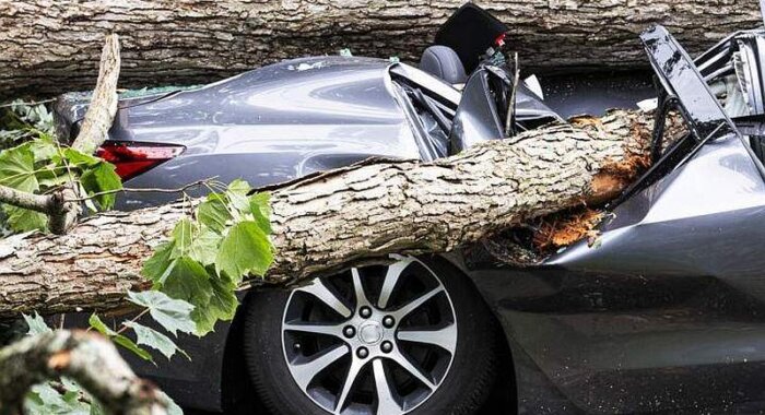 BMW, Ford и Honda работают над блокчейн-платформой