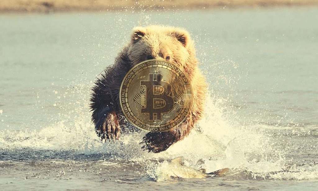 coinmag