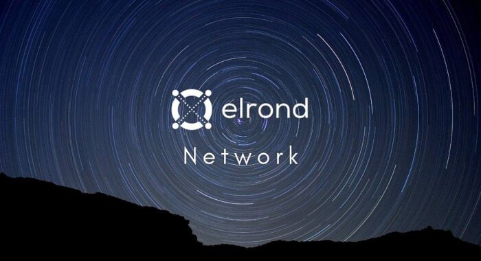 Сеть Elrond вышла на рынок США через приложение Voyager