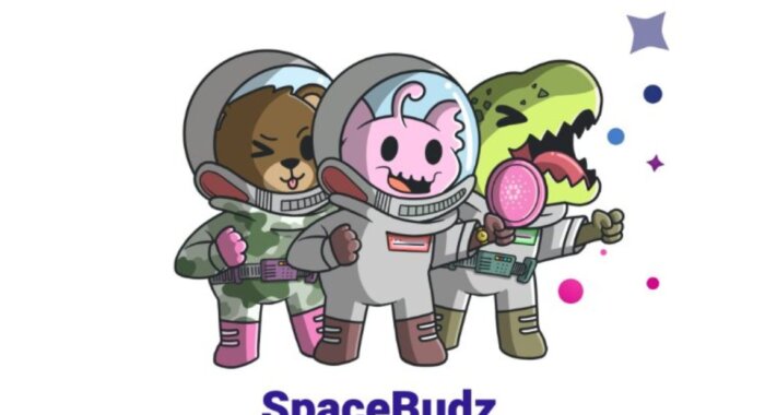 Космические токены SpaceBudz появились на блокчейне Cardano