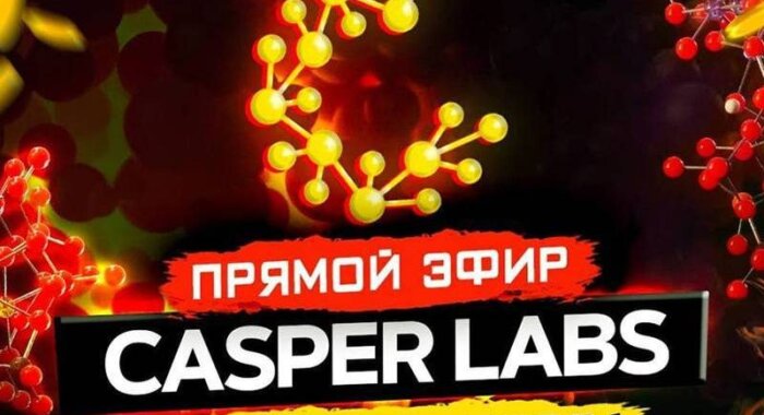 CasperLabs: онлайн-сессия АМА и розыгрыш 500 токенов CSPR